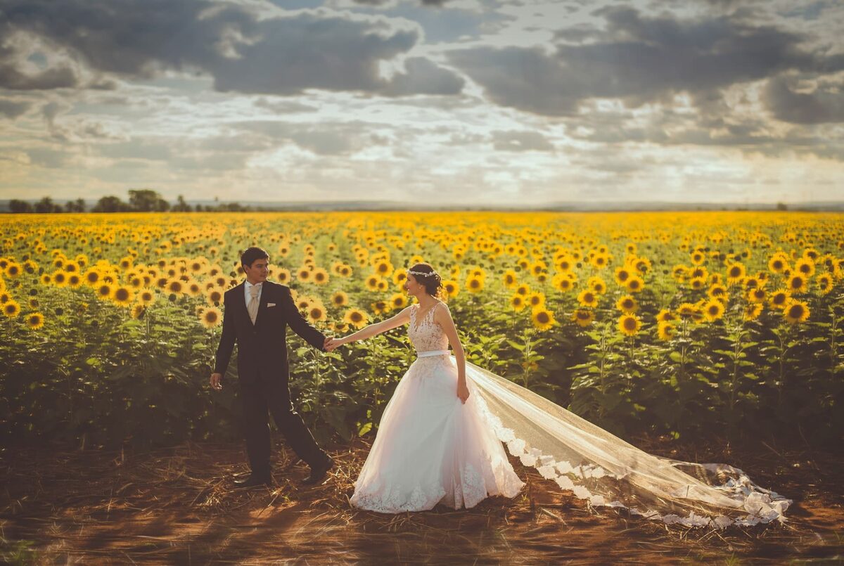 bride and groom walk in front of golden field of sunflowers